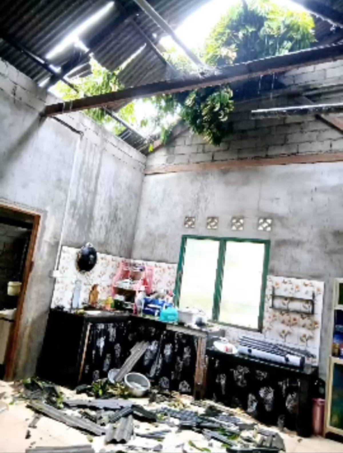 Penampakan dua rumah warga di Kecamatan Kundur Barat, Karimun yang rusak tertimpa pohon tumbang, Kamis (9/10/2025) pagi sekira pukul 09.00 WIB.