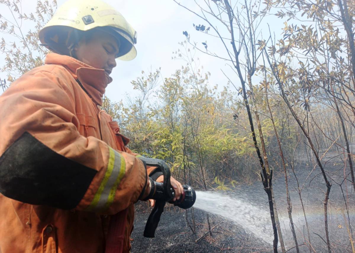 Dua Hektar Lahan Kosong di Senggarang Tanjungpinang Terbakar.