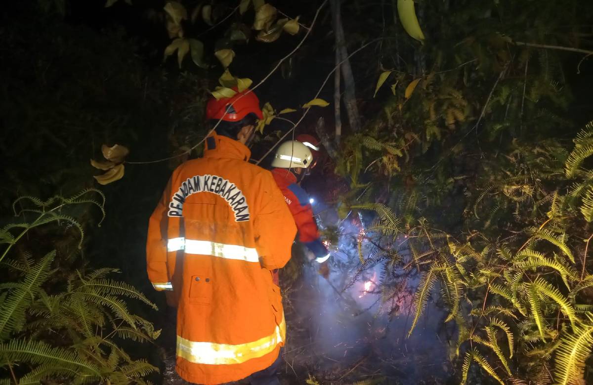 lahan terbakar, pulau penyengat, lahan kosong, bakar sampah, tanjungpinang, damkar.