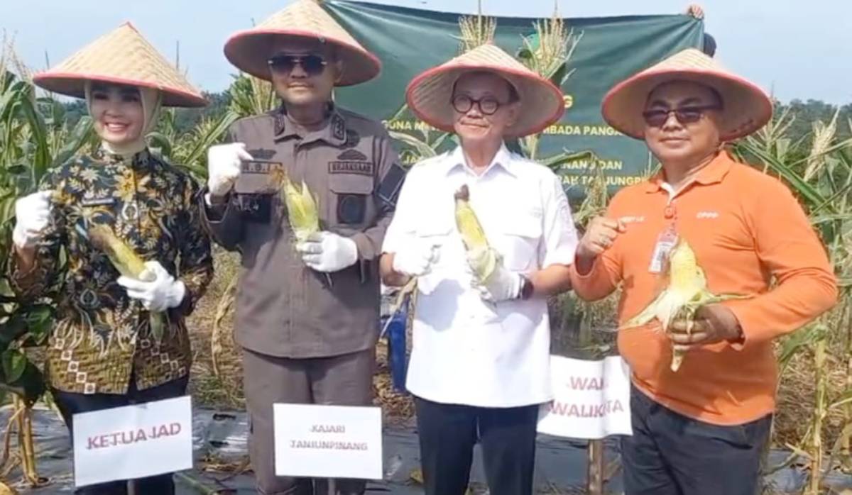 Wujudkan Kemandirian Pangan, Kejari dan Pemko Tanjungpinang Gelar Panen Raya.