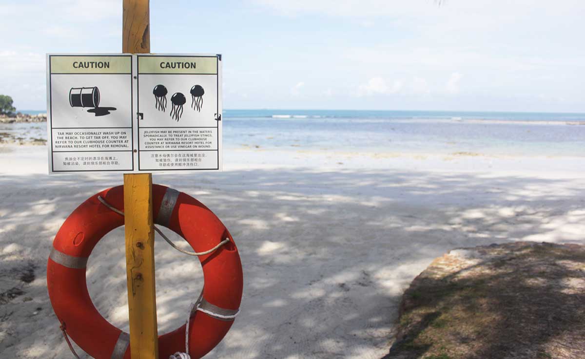 BMKG Ingatkan Dampak Monsun Asia, Gelombang 2,5 Meter Potensi Terjadi di Perairan Pulau Bintan
