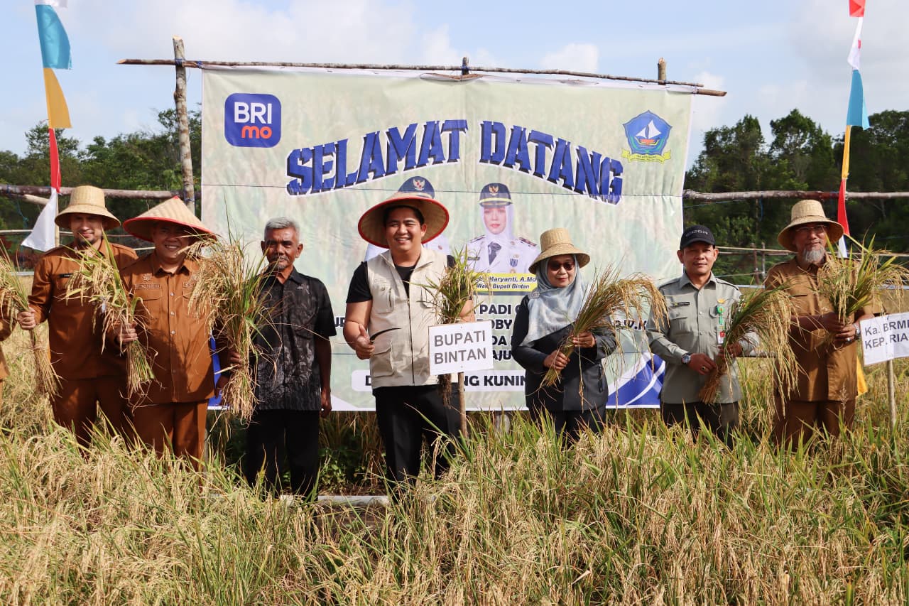 Panen Perdana Padi Gogo, Petani Bintan Manfaatkan Lahan Kering