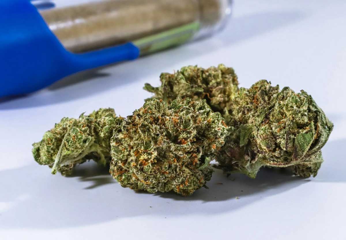 Polda Kepri Tangkap Dua Pengedar Ganja di Lapangan Bola Tanjung Uma Batam