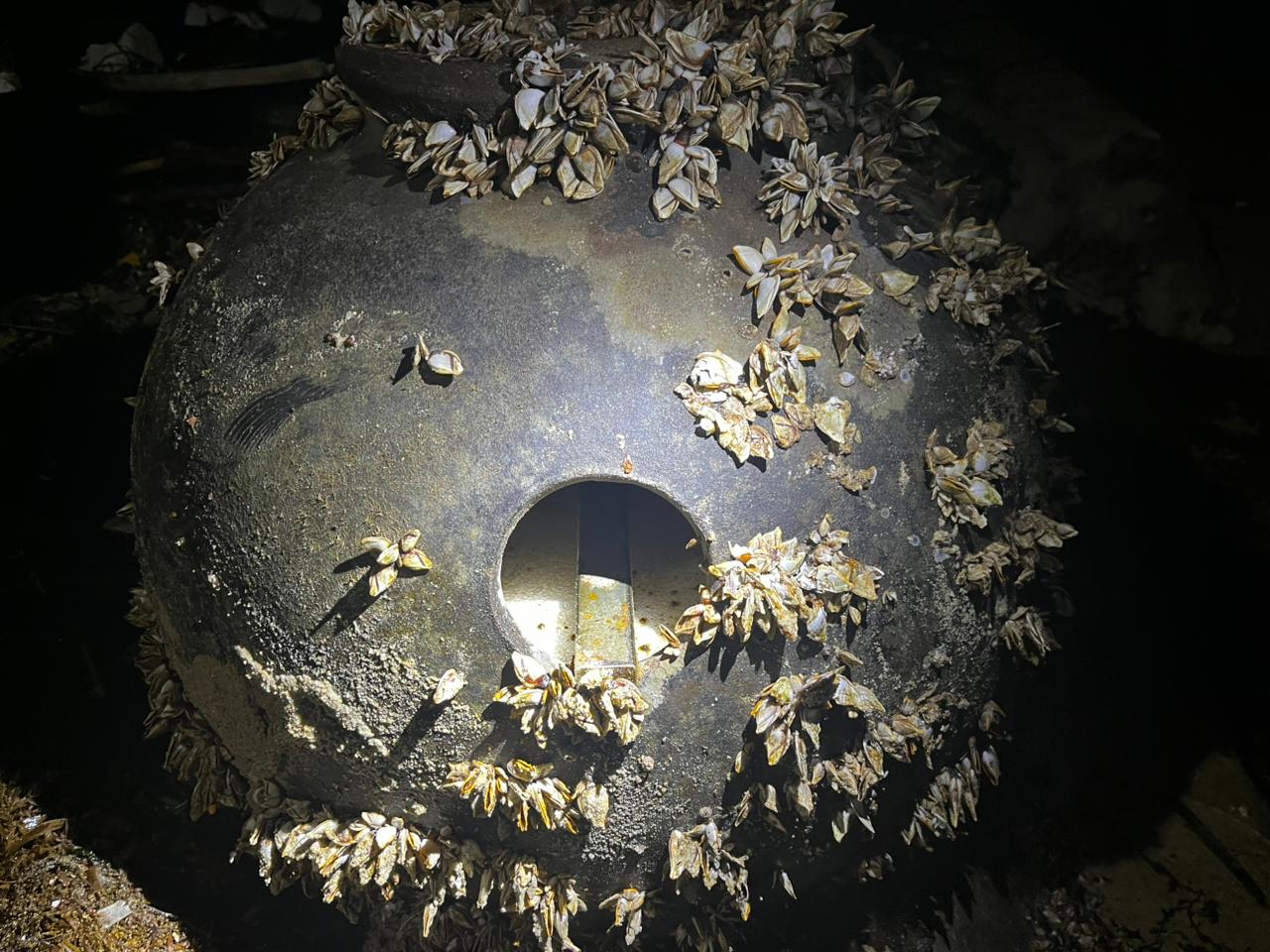 Warga Teluk Sebong Bintan Temukan Benda Asing di Pantai, Diduga Ranjau Laut