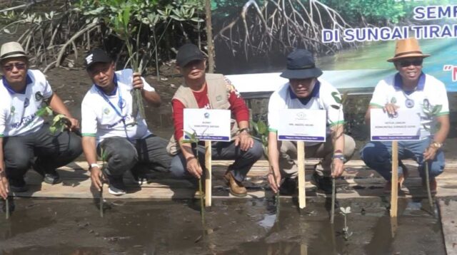 Peringati HPN 2026, Komunitas Jurnalis Kepri Tanam Mangrove di Sungai Tiram Bintan