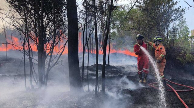 Karhutla Meluas di Kepri, Polda Telusuri Unsur Kesengajaan