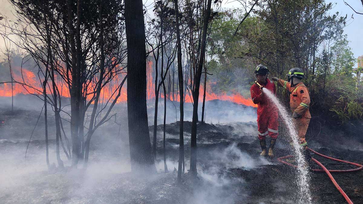 Karhutla Meluas di Kepri, Polda Telusuri Unsur Kesengajaan