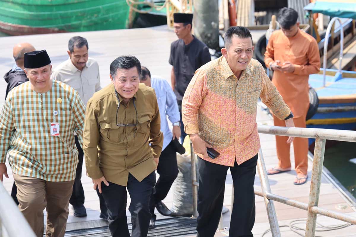 Gubernur Ansar Ajak Pusat Dukung Pengembangan Pulau Penyengat