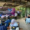 AJI Kota Tanjungpinang Gelar Diskusi Kebebasan Pers di Pulau Penyengat, Bahas Ancaman terhadap Jurnalis