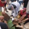 Sapi Kurban Presiden Seberat 1 Ton Disembelih di Tanjungpinang, Dibagikan ke Ratusan Warga