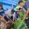 Jelang Iduladha 2026, Tanjungpinang Siapkan 200 Juru Sembelih Halal