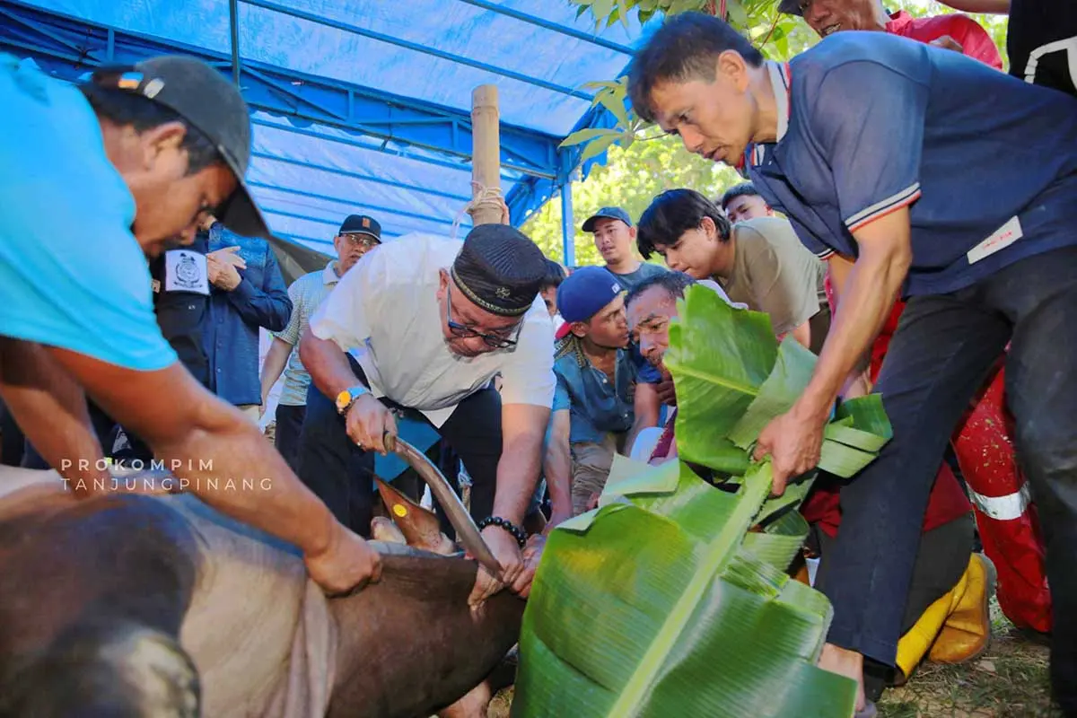 Jelang Iduladha 2026, Tanjungpinang Siapkan 200 Juru Sembelih Halal