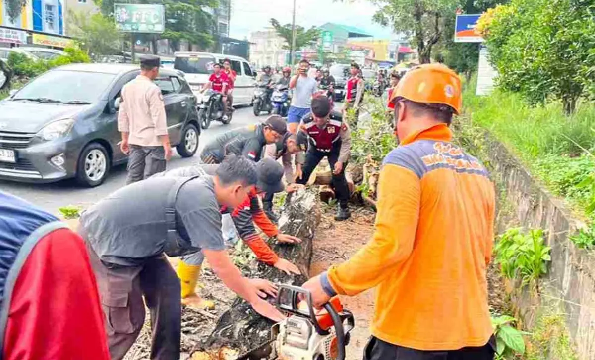 Pohon Tumbang Tutup Jalan Tanjungpinang–Uban KM 10, Dua Pengendara Alami Luka Ringan