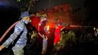 Kebakaran Lahan 8 Hektare di Lingga Berhasil Dipadamkan, Penyebab Masih Didalami