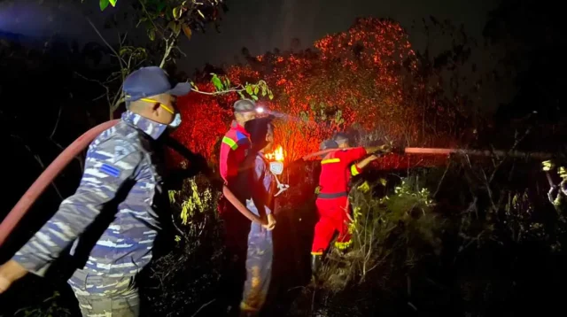 Kebakaran Lahan 8 Hektare di Lingga Berhasil Dipadamkan, Penyebab Masih Didalami