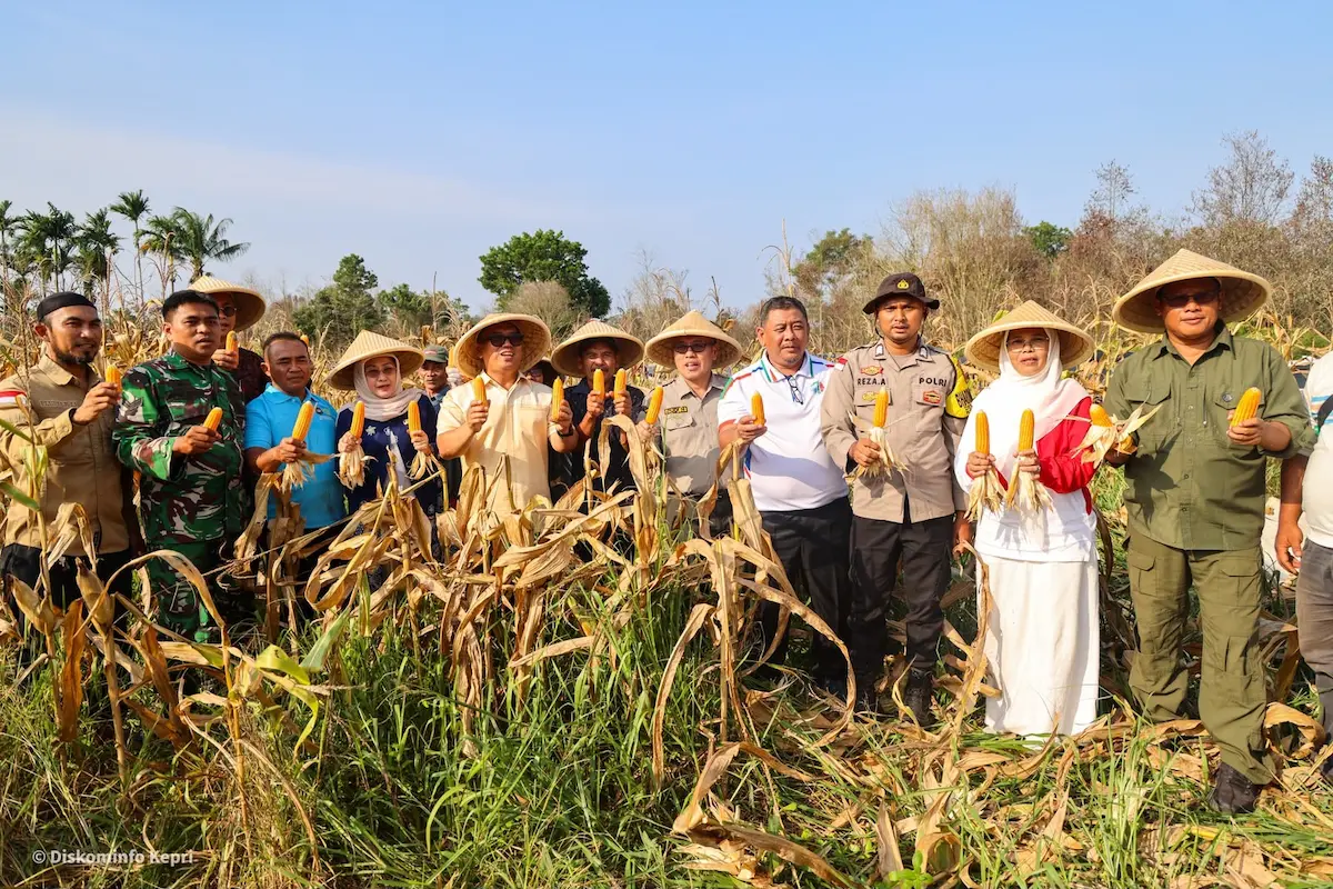 Harga Sayuran Turun, Petani Bintan Sampaikan Keluhan Langsung ke Wagub Kepri