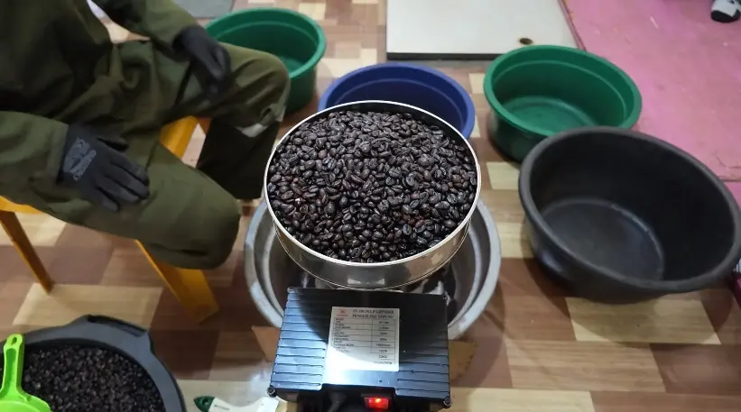 Abu Dafi Siapkan 200 Cup Kopi untuk Fesmed Selat Malaka 2026 di Tanjungpinang