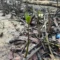 Diduga 200 Batang Mangrove Ditebang di Anambas, Polisi Turun Cek Lokasi