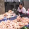 Harga Ayam di Pasar Rp42 Ribu, APUB Gelar Operasi Pasar Rp35 Ribu di Bintan Center