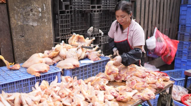 Harga Ayam di Pasar Rp42 Ribu, APUB Gelar Operasi Pasar Rp35 Ribu di Bintan Center