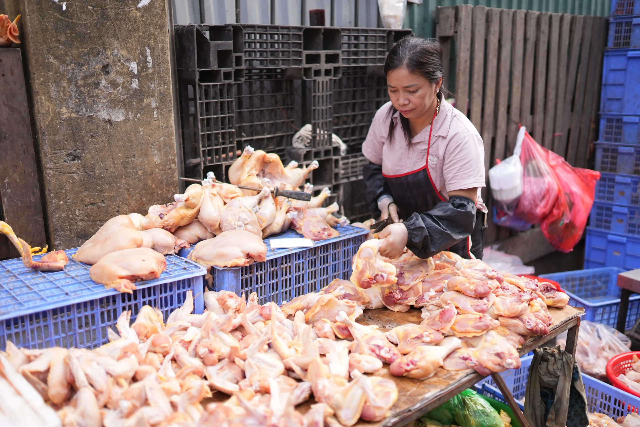 Harga Ayam di Pasar Rp42 Ribu, APUB Gelar Operasi Pasar Rp35 Ribu di Bintan Center