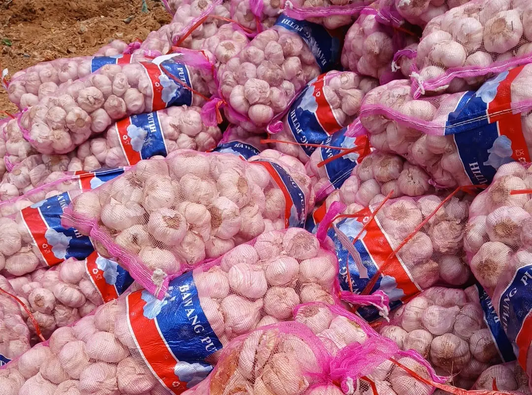 Bawang Putih Impor Asal Cina Rusak Satu Kontainer, 29 Ton Dimusnahkan