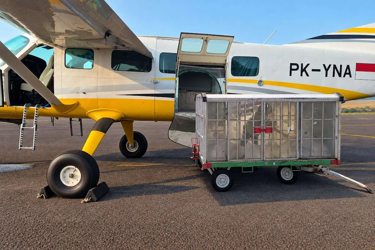 Atasi Penurunan Air Waduk, Batam Gelar Operasi Modifikasi Cuaca 26 Oktober–2 November 2026