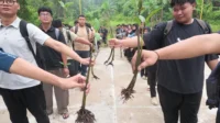 umrah-01 UMRAH Kembangkan Kalkulator Karbon Mangrove, Bantu Hitung Emisi dan Buka Peluang Bisnis
