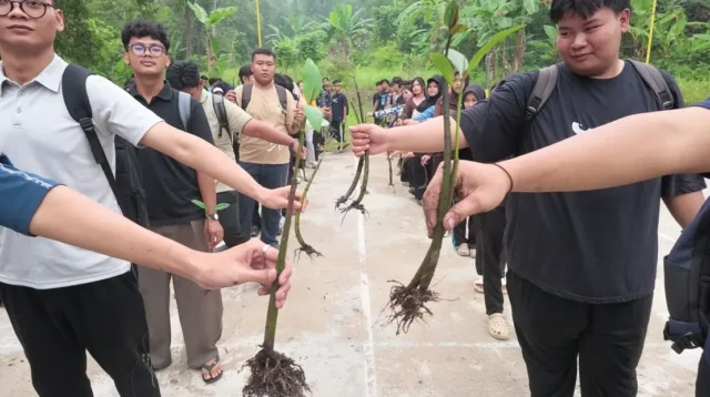 UMRAH Kembangkan Kalkulator Karbon Mangrove, Bantu Hitung Emisi dan Buka Peluang Bisnis