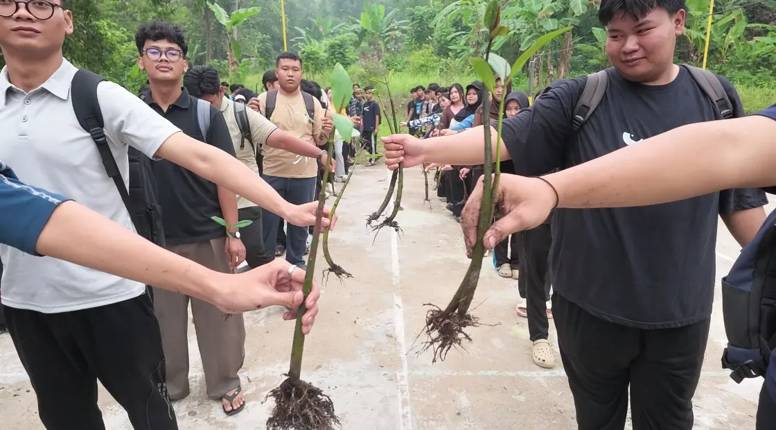 UMRAH Kembangkan Kalkulator Karbon Mangrove, Bantu Hitung Emisi dan Buka Peluang Bisnis