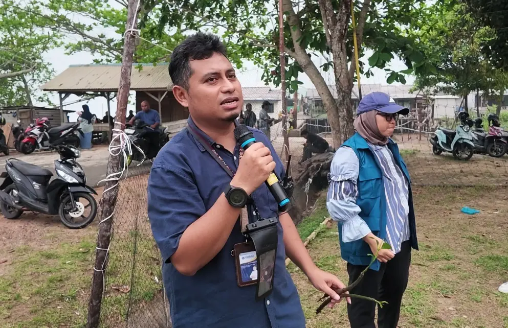 UMRAH Kembangkan Kalkulator Karbon Mangrove, Bantu Hitung Emisi dan Buka Peluang Bisnis