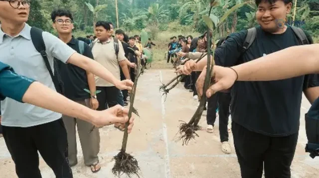 UMRAH Kembangkan Kalkulator Karbon Mangrove, Bantu Hitung Emisi dan Buka Peluang Bisnis